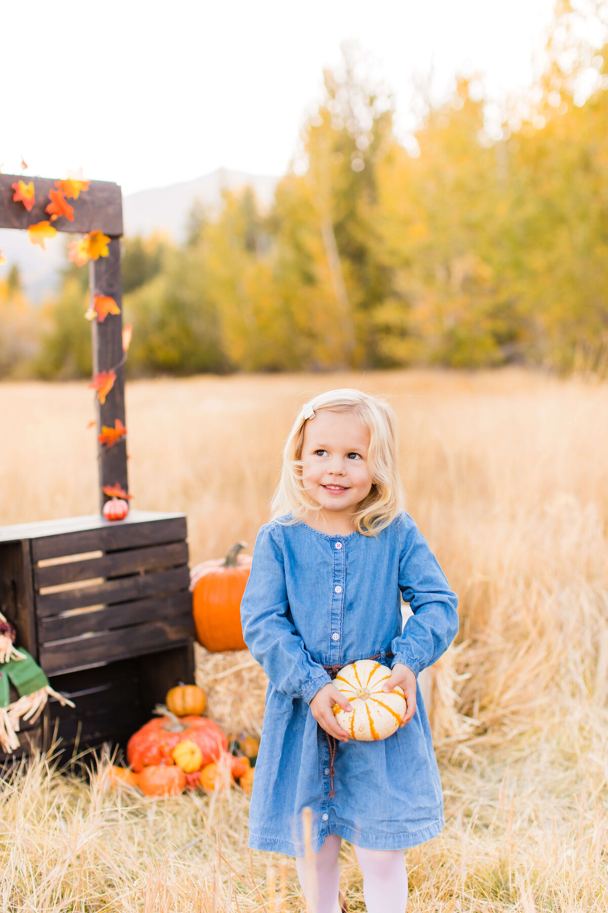 FallMiniSession2019 (7 of 39)