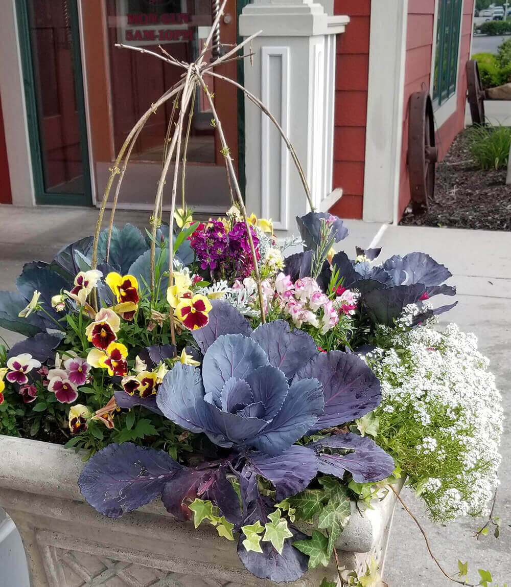 Commercial landscape company project in Kansas City: seasonal flowers showcase