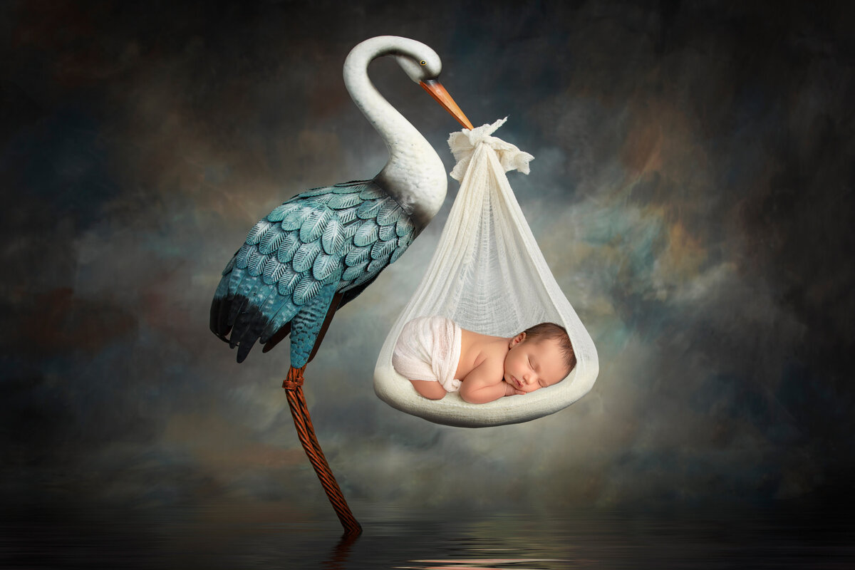 newborn photography Stork Phoenix Arizona