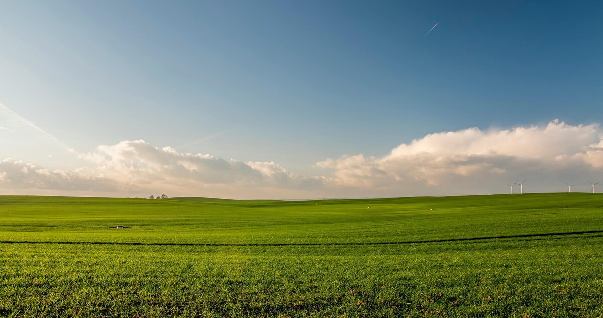 luscious green farmland 