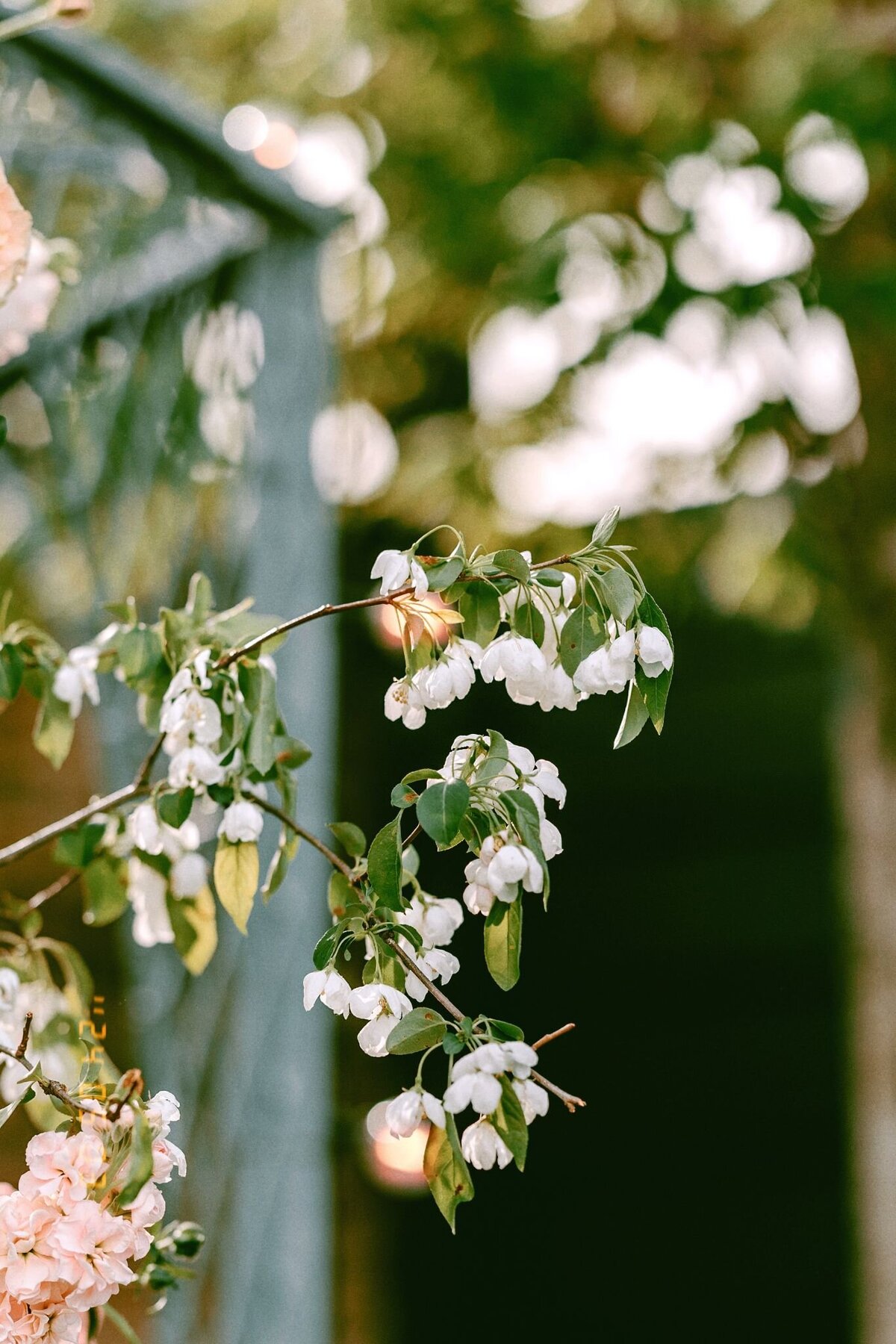 terrain-cafe-wedding-41