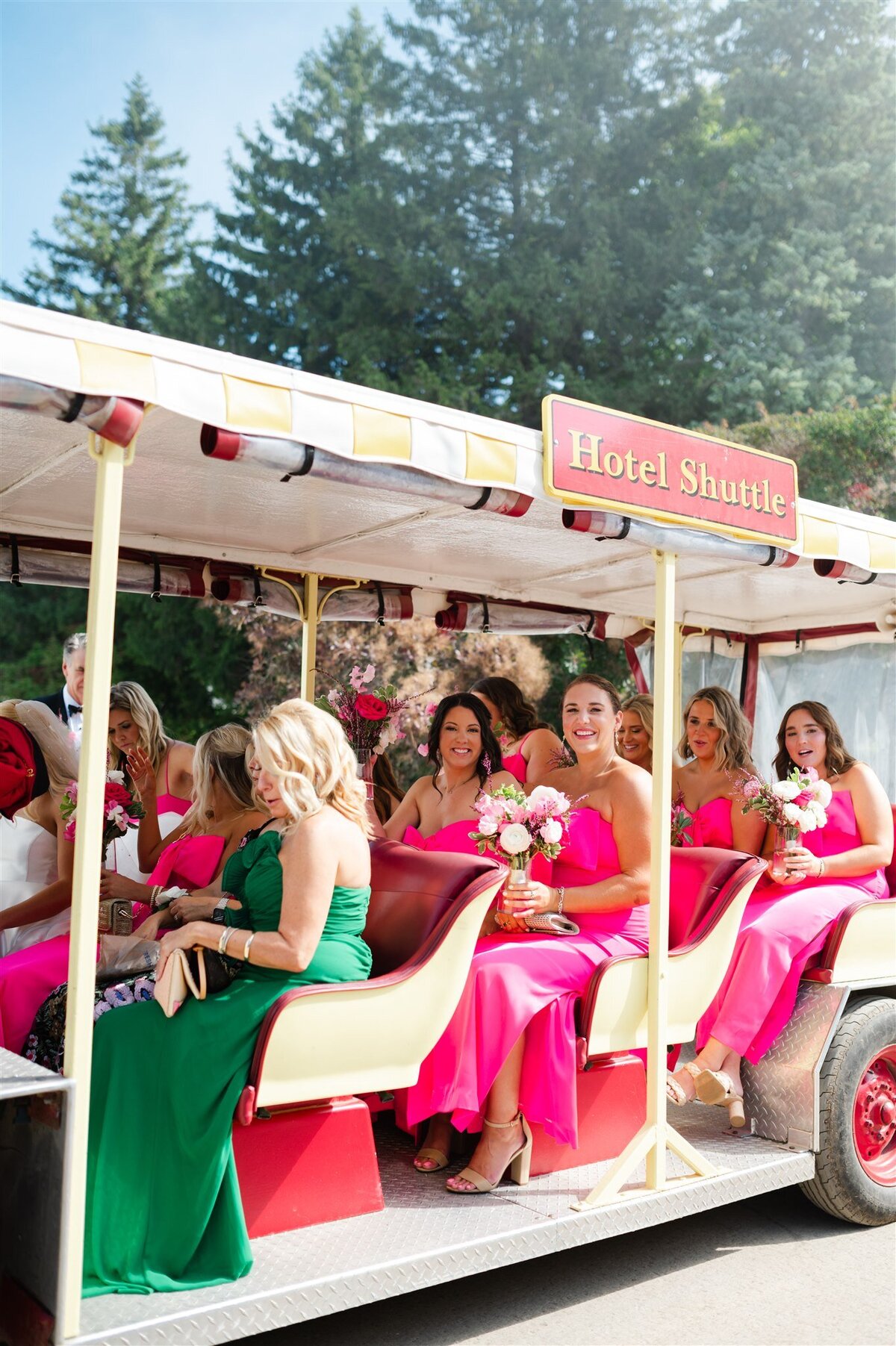 A photo of the bridal party in a Wedding Taxi on Mackinac Island