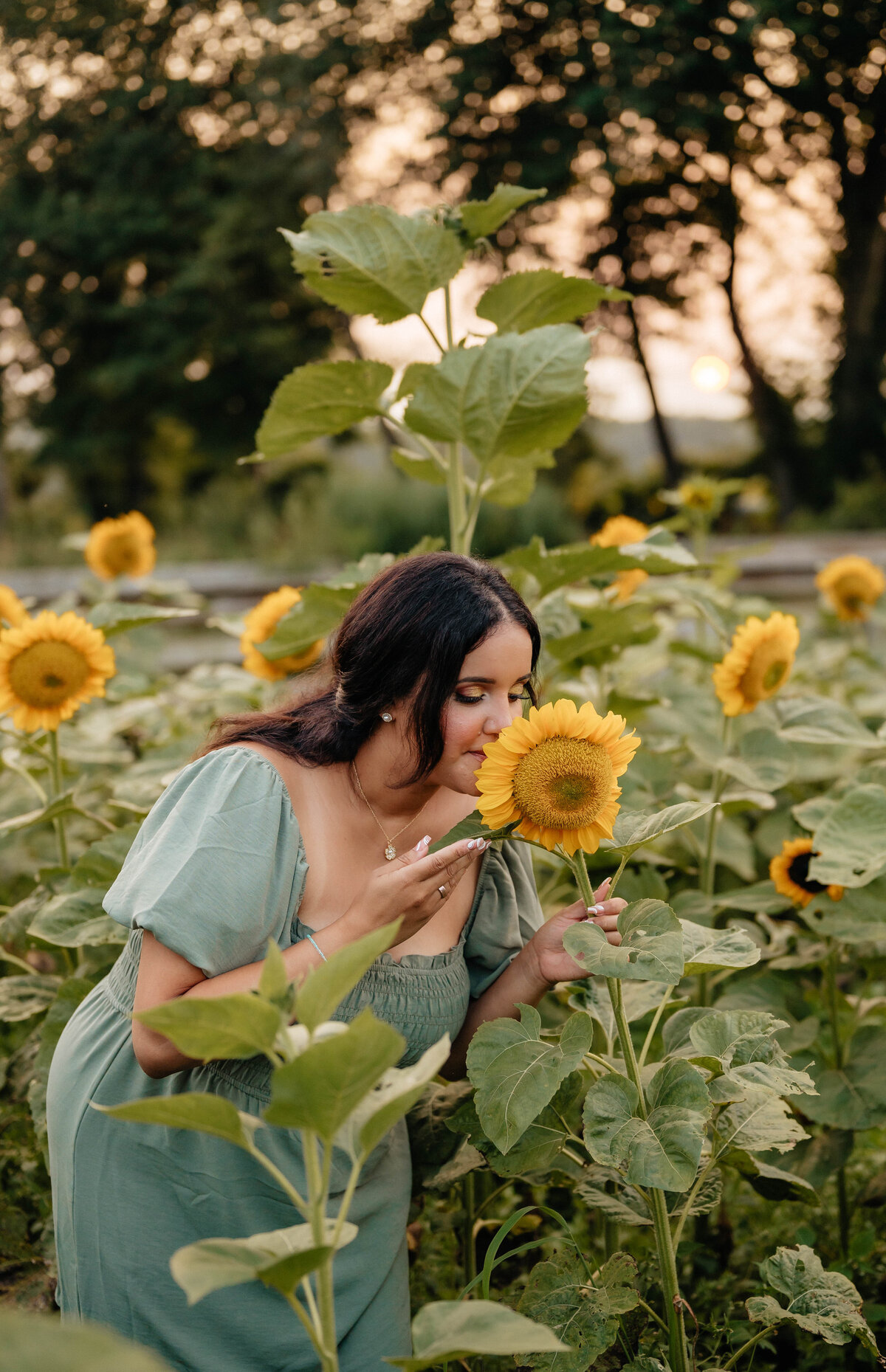 sunflowers-47
