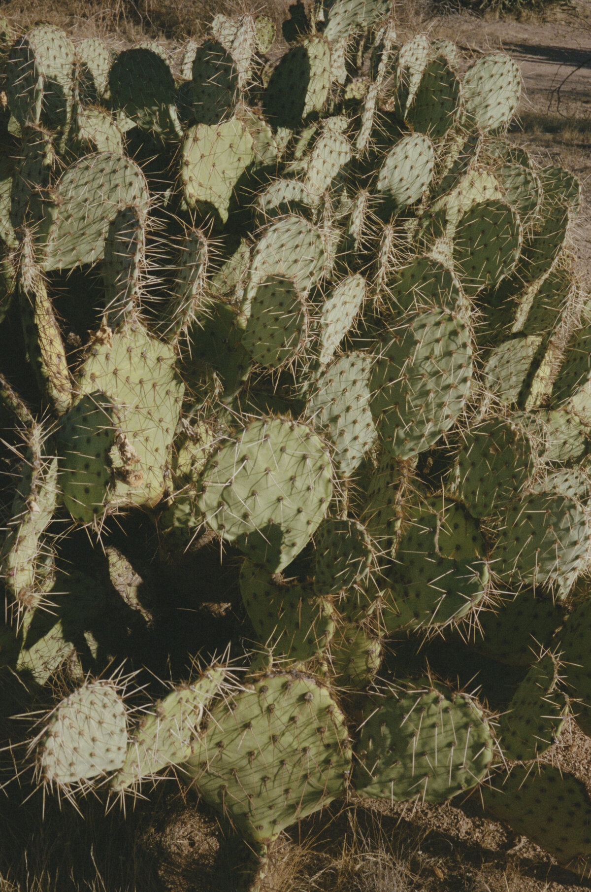 58981_MWA_015_25