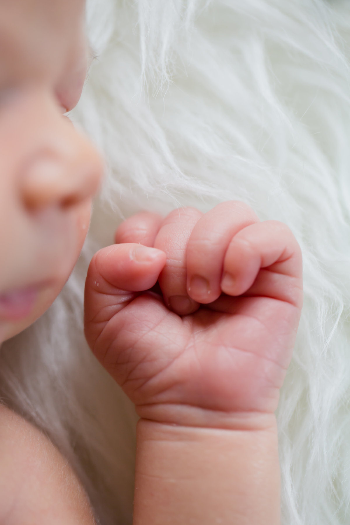 Newborn Baby Boy Naples Lifestyle Photographer