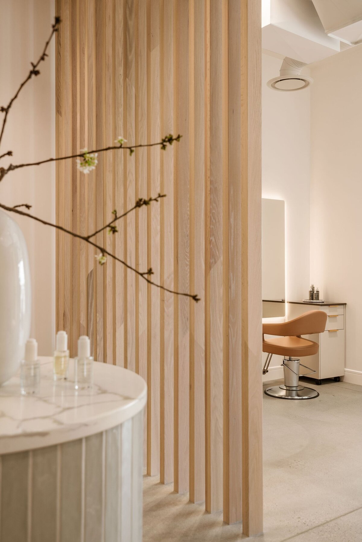 ChandraLaineDesign_SalonOlivine_8