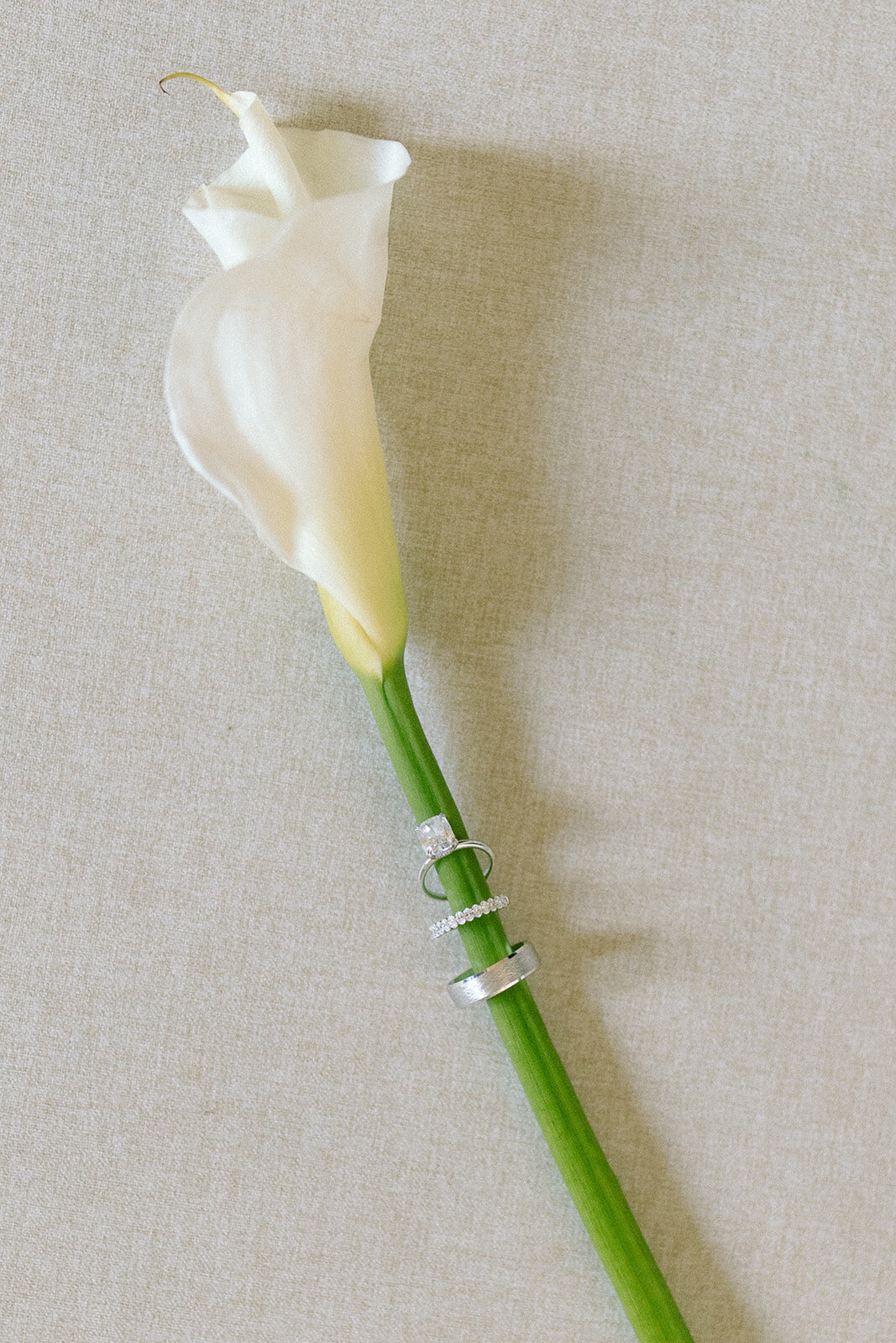 SR1_9167-2-Copy1