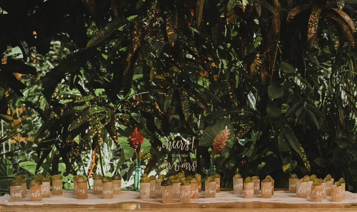 Encanta La Vida_Costa Rica_Destination Wedding_Osa Peninsula_Zoe Steindl_Photography_Tonya Szele Events_Nicole Symer _ Grayson Nance_Nicole Nance Events033