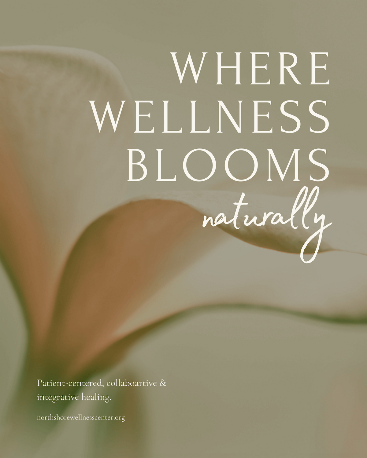 Screenshot 2025-10-27 at 12.11.46 PM