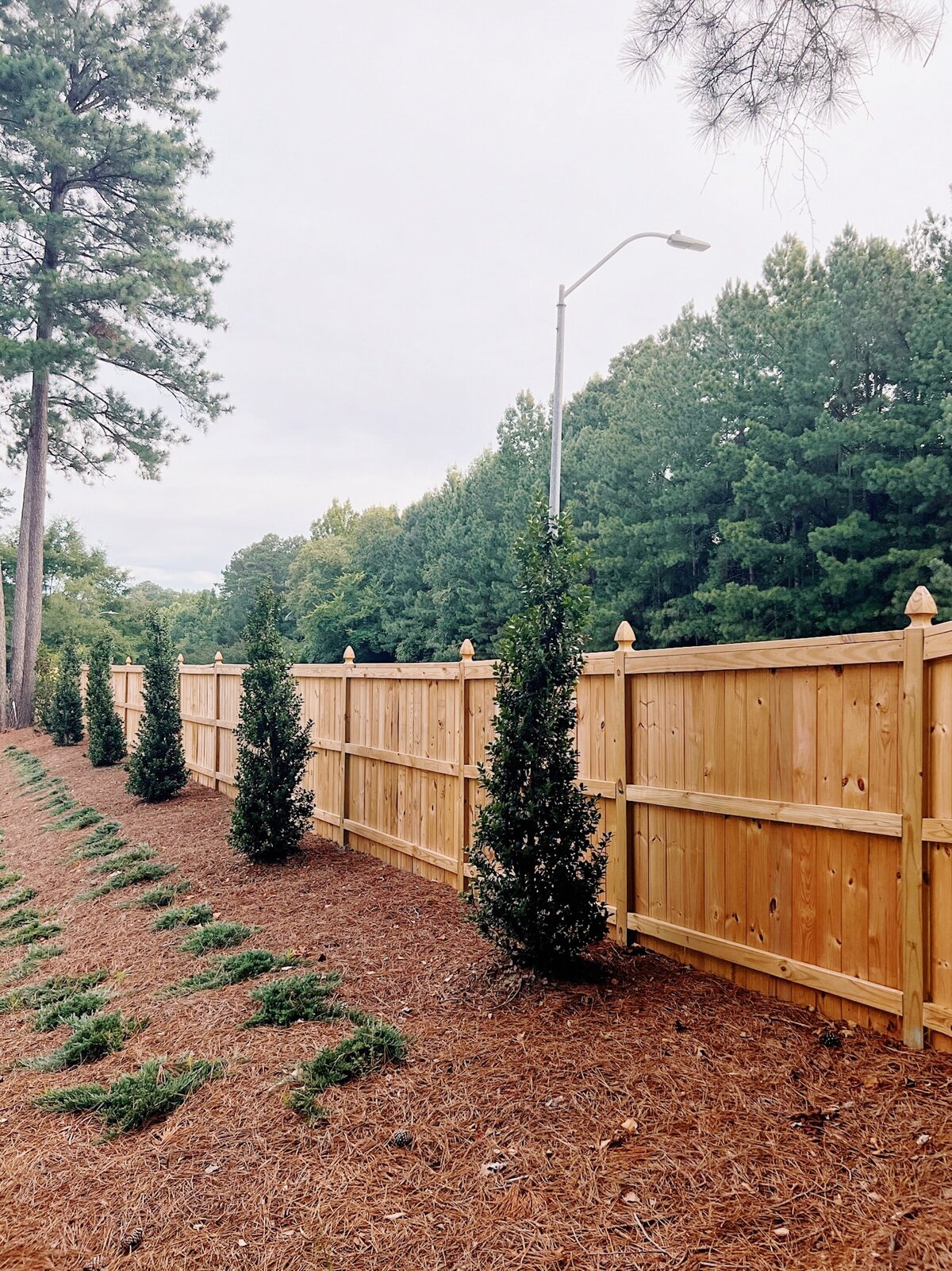 Cap and Trim fences in Nashville