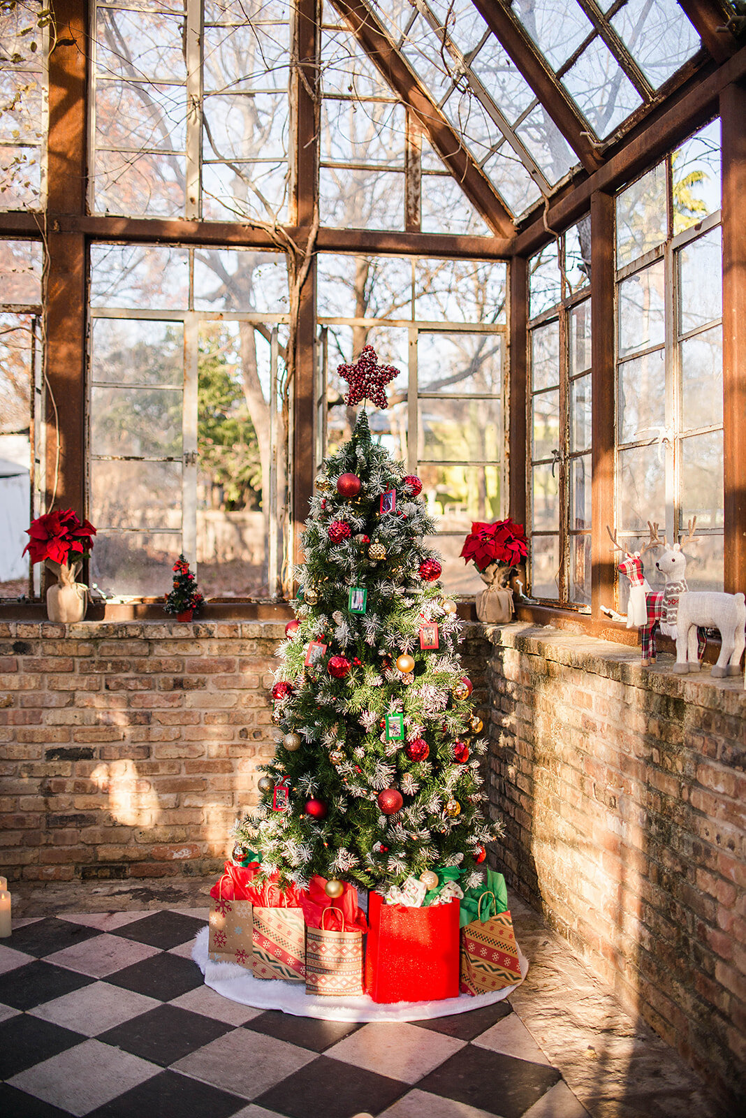 Plan the perfect proposal Christmas tree with gifts