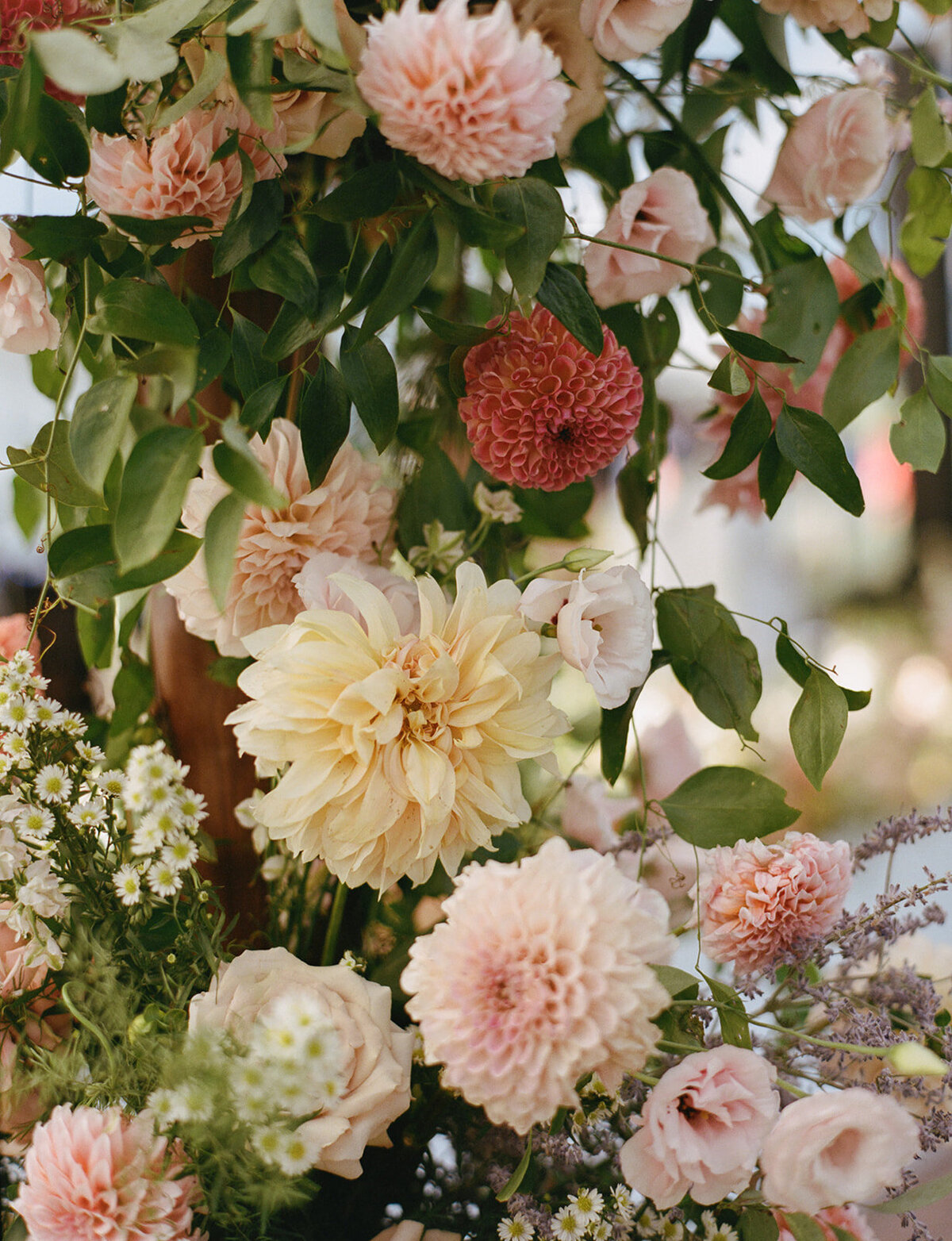Hadley & Griffin Wedding-1419