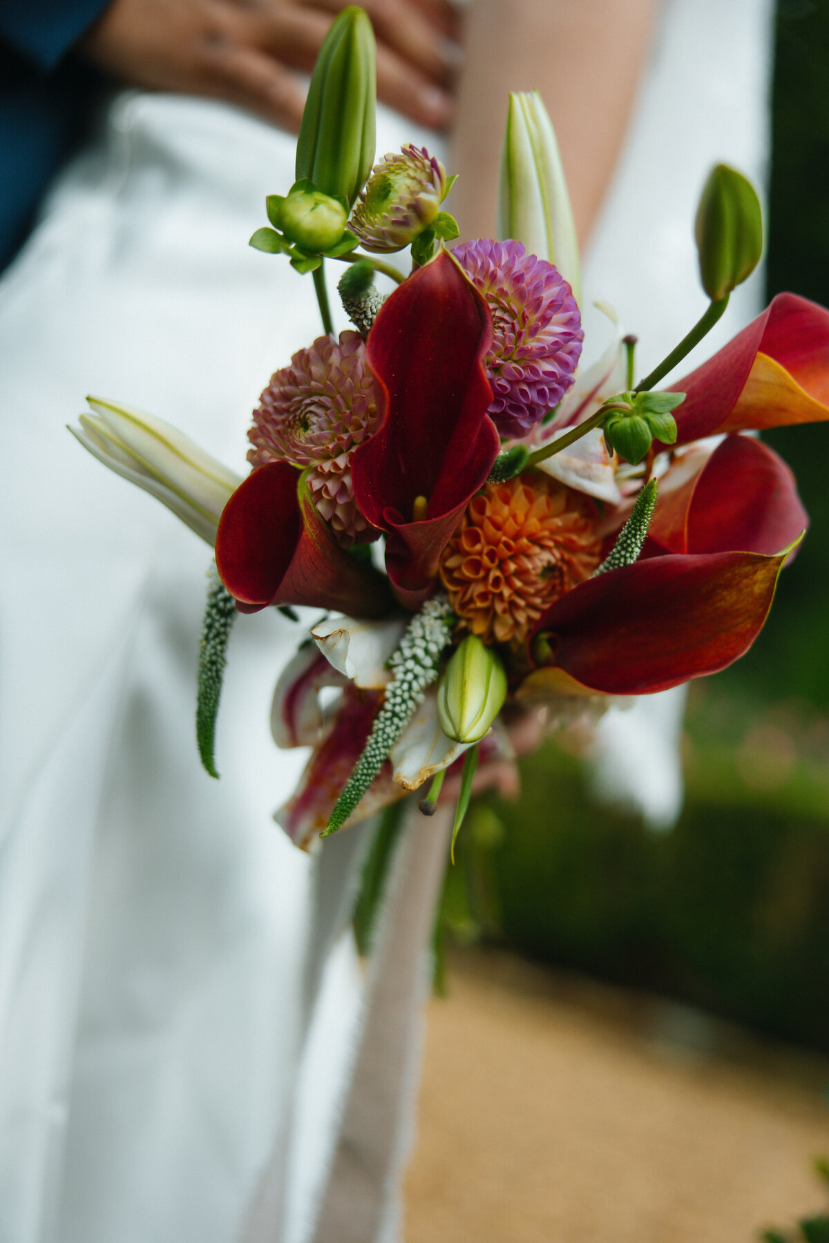 Woodmanportraits-13664