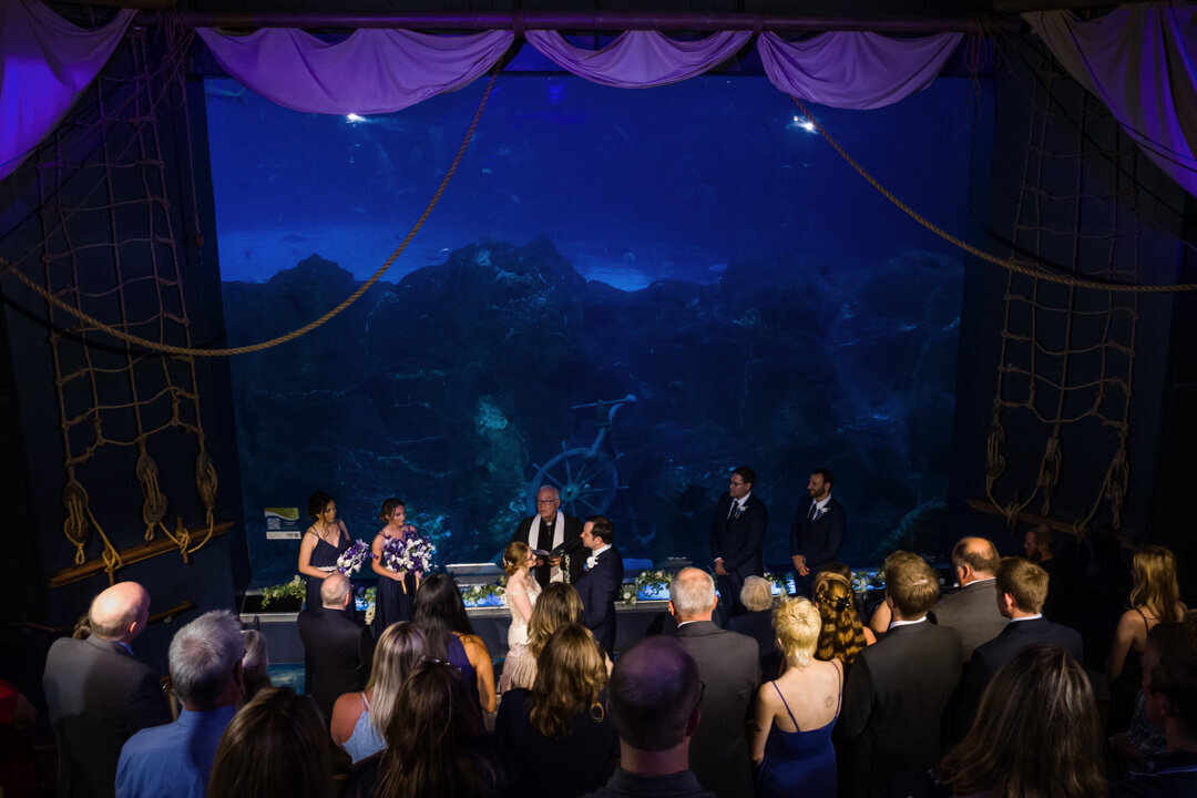 FoxBrazen_TothWedding_2089aSM