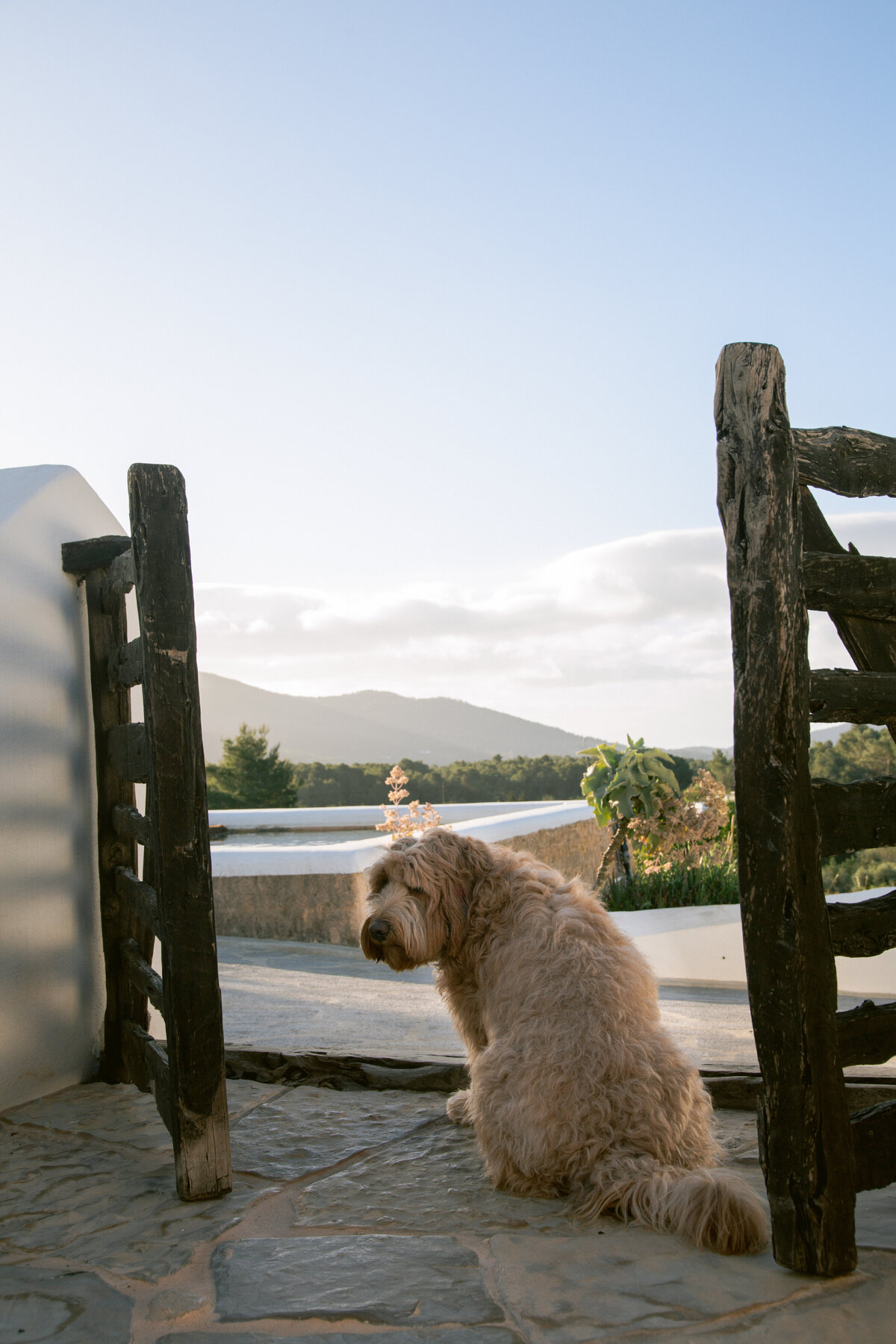 bo-eppink-photography-farm-labritja-botanica-campaign-ibiza-spain-lifestyle-9