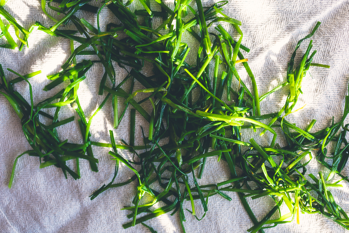 How to Make Chive OIl for the Home Cook-2007