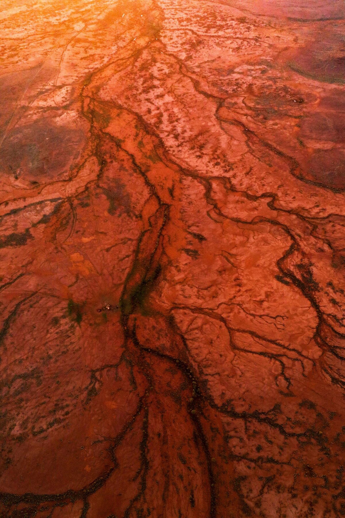 DJI_20240705194747_0229_D
