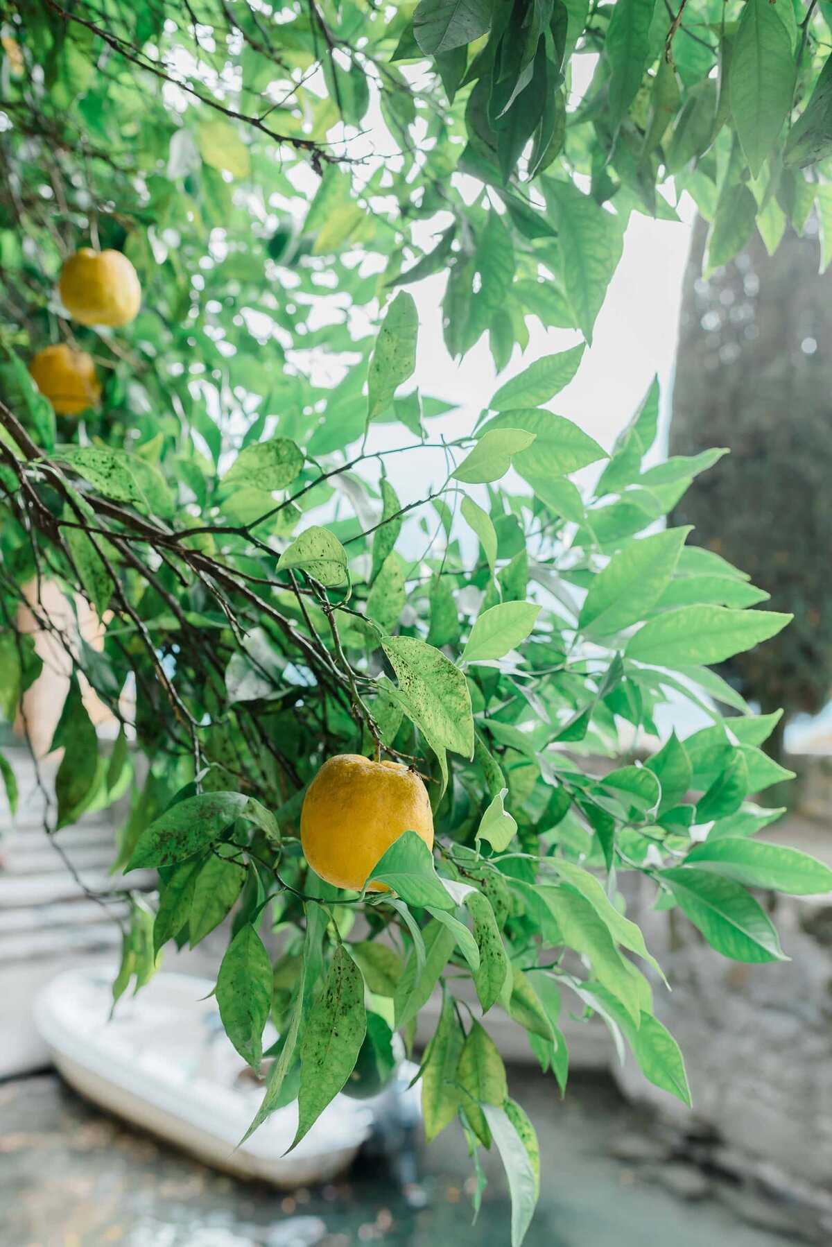 Destination Wedding Photographer Anna Lundgren in Stockholm Wedding in Lake Como Villa La Cassinella elopement_024