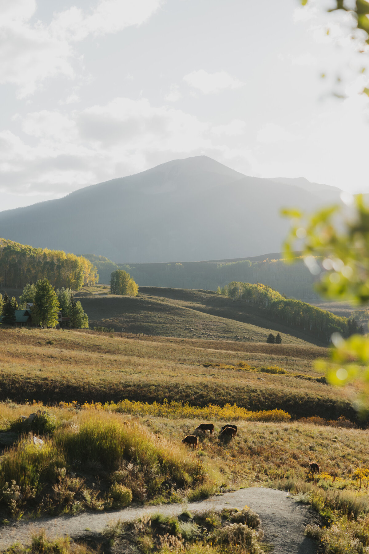Abby Heron Photography Texas Based and Travel Wedding and Couples Photographer — Wedding Gallery for Ben + Victoria 30