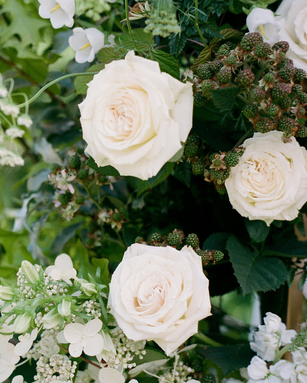 Montreal-Luxury-Wedding-Photographer-Raphaelle-Granger-33