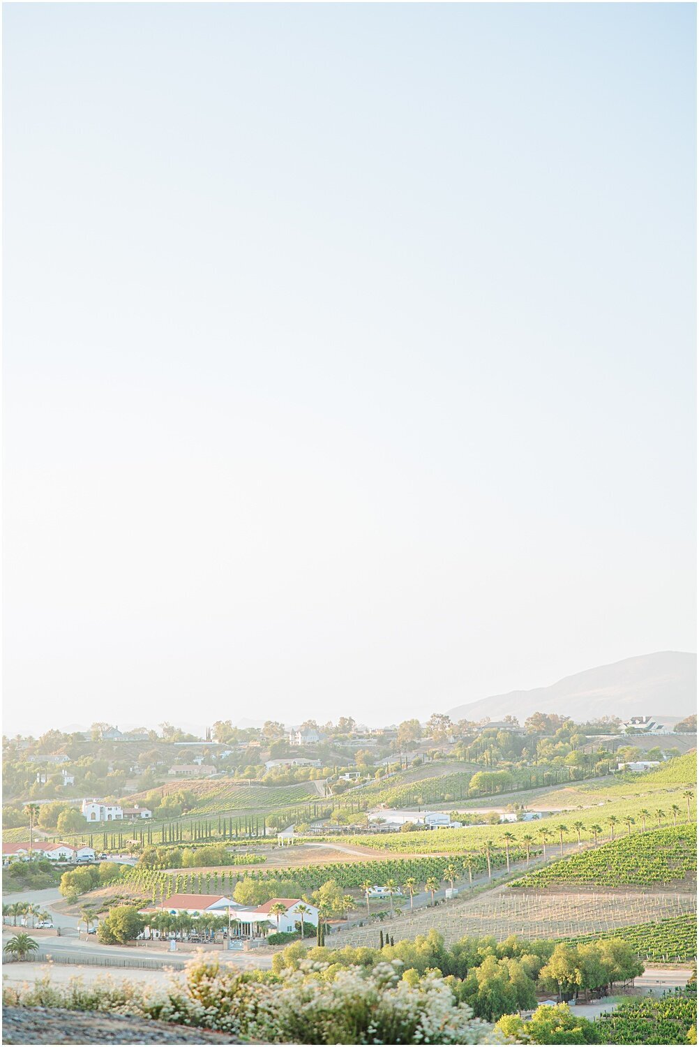 Mount-Palomar-Winery-Wedding-Southern-California_0033