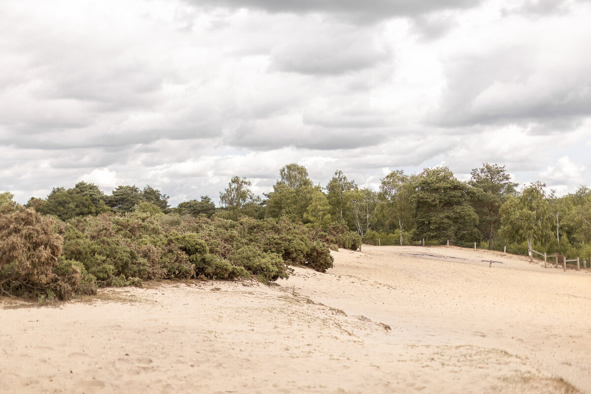 Kayla Stoate photography Engagement Wedding Bride Beach Water On Location Editorial Fine Art Hampshire Berkshire Surrey Frensham Love Story Narrative Natural _92A2955