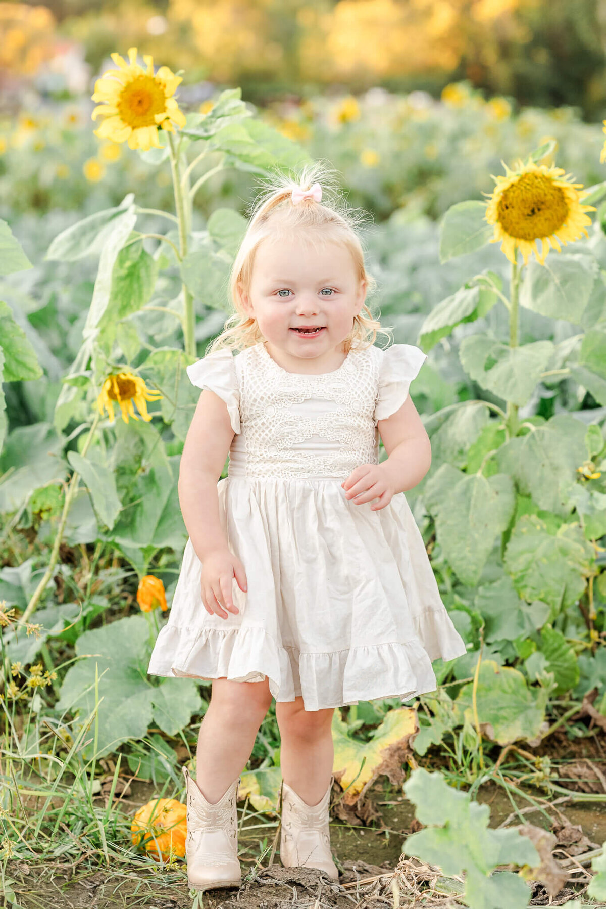 A toddler girl wearing  a white dress and cowgirl boots stands in a field of sunflowers.