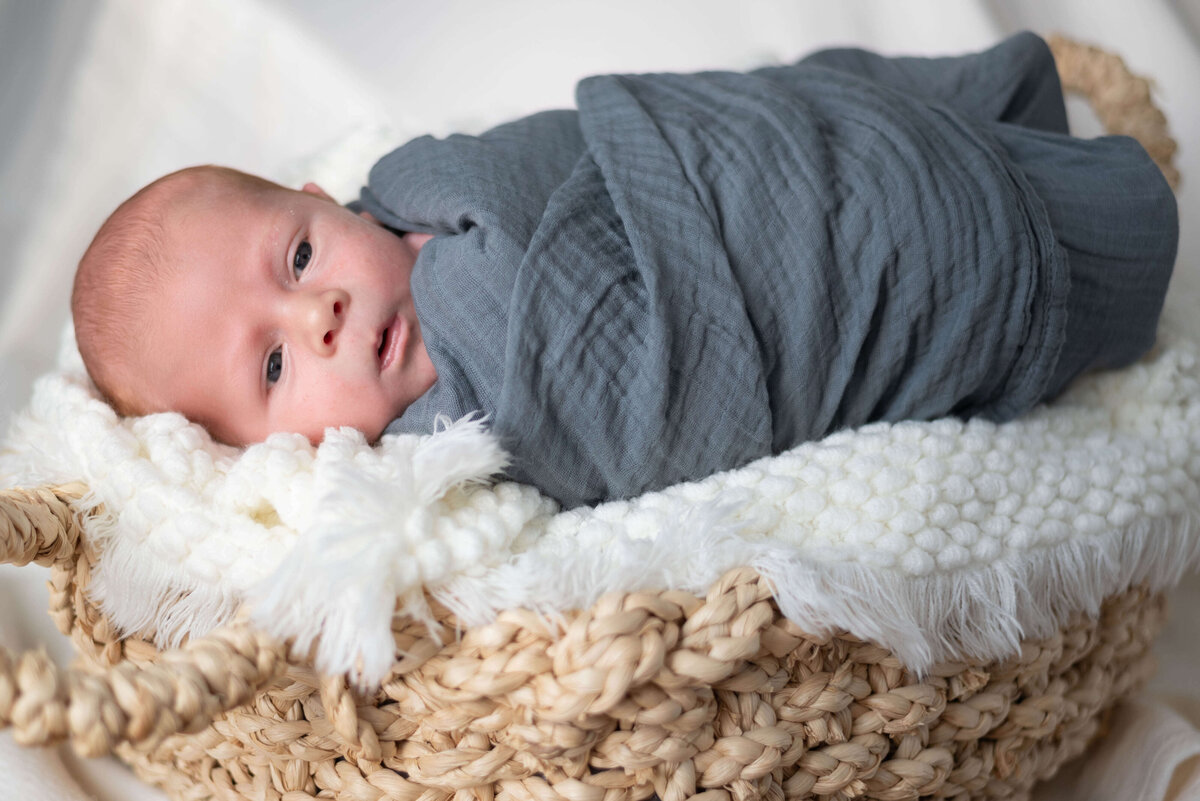 newborn-basket-gray