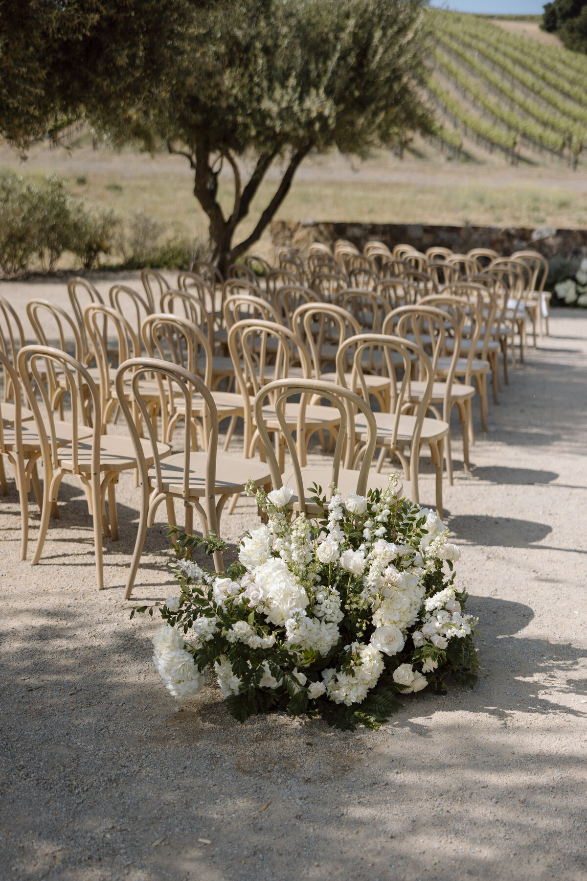 Paso Robles Wedding Photographer-29