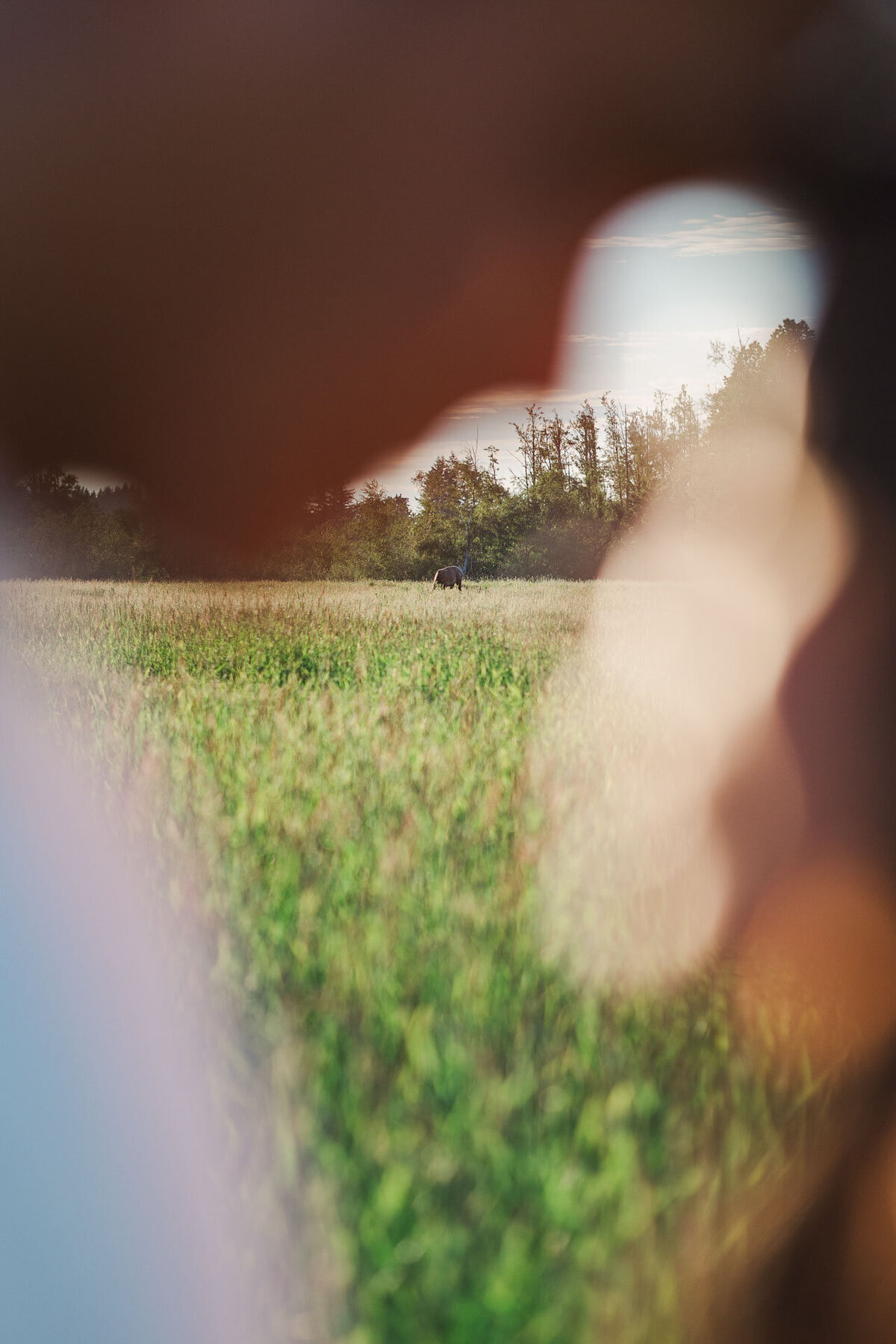 Elk-Fields-Northbend-WA-Engagement-Photo-35