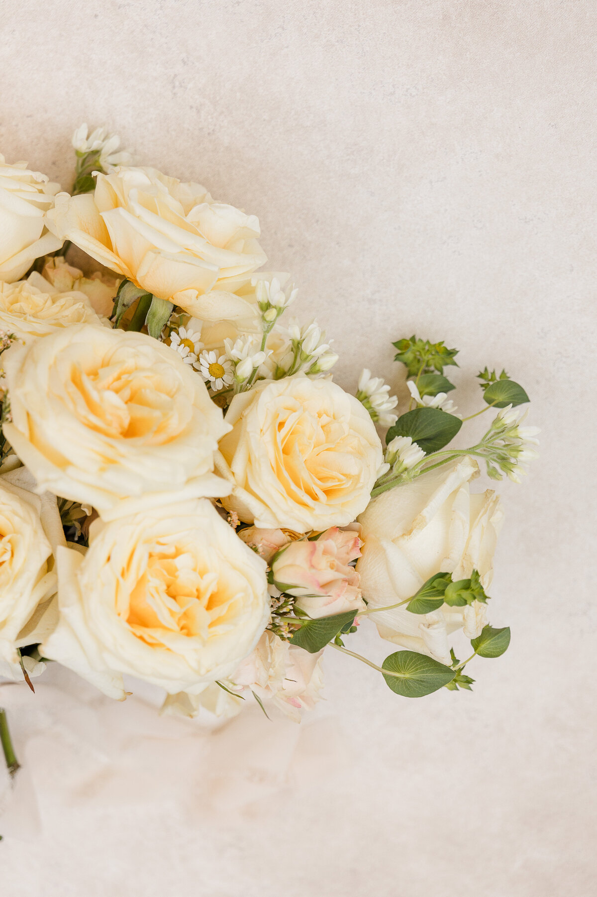 20241118-styled-shoot-callenwolde-atl-ga-21