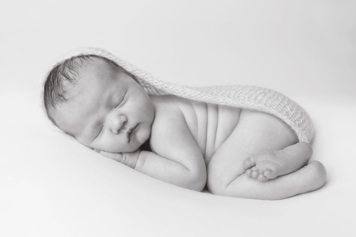 mainline newborn photographer 10