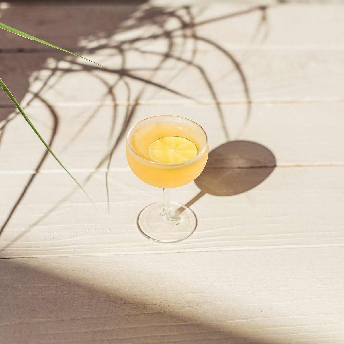 nashville-branding-commercial-photographer-drink-cocktail-tiki-b1281-2