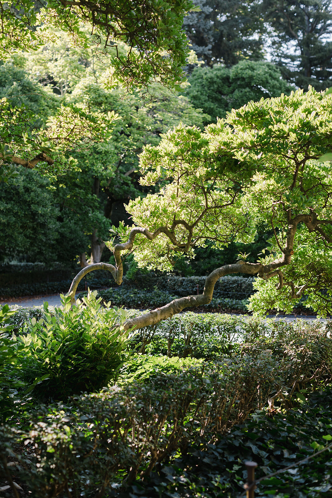 04. Teresa & Paul_s Wedding Weekend - Portraits at Brooklyn Botanic 245