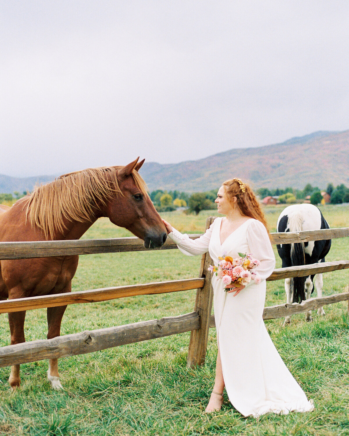 Bride pets horse as mountain line the backdrop