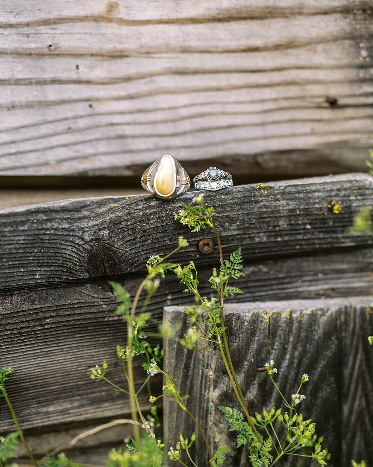 Wedding rings sitting on a wooden log.