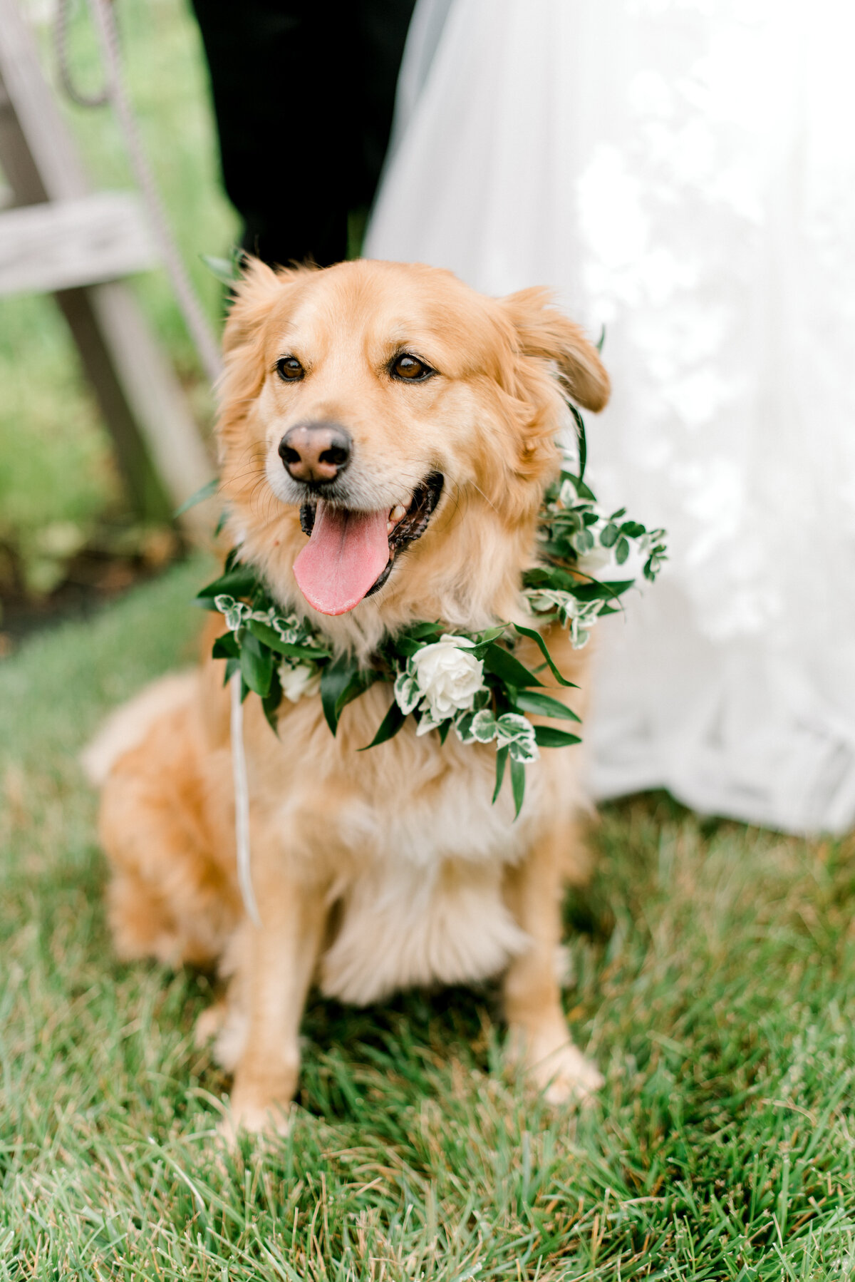 Chesapeake_Bay_Beach_Club_firstlooks_portraits099