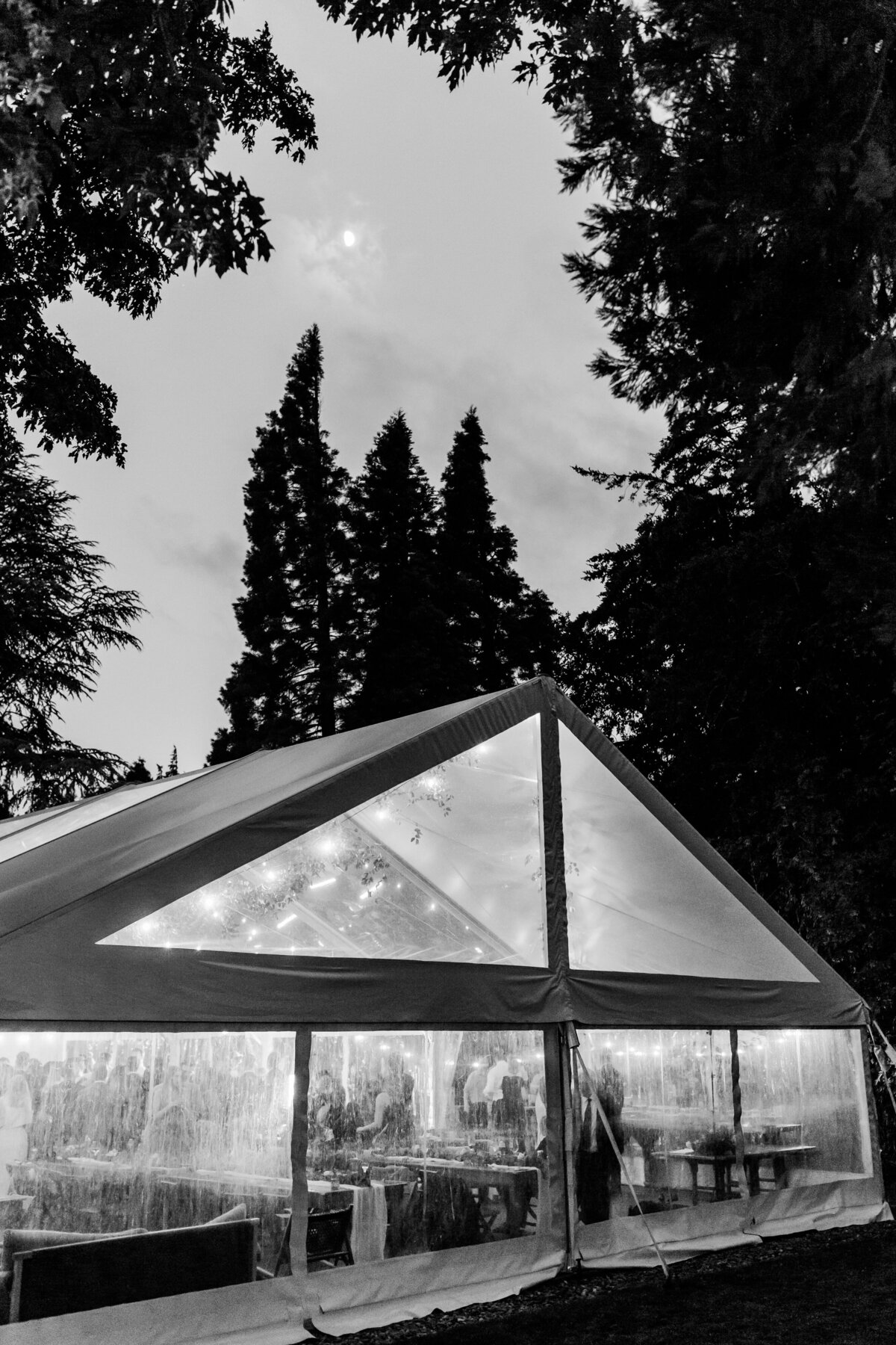 marina_&_aaron_wedding_reception-551