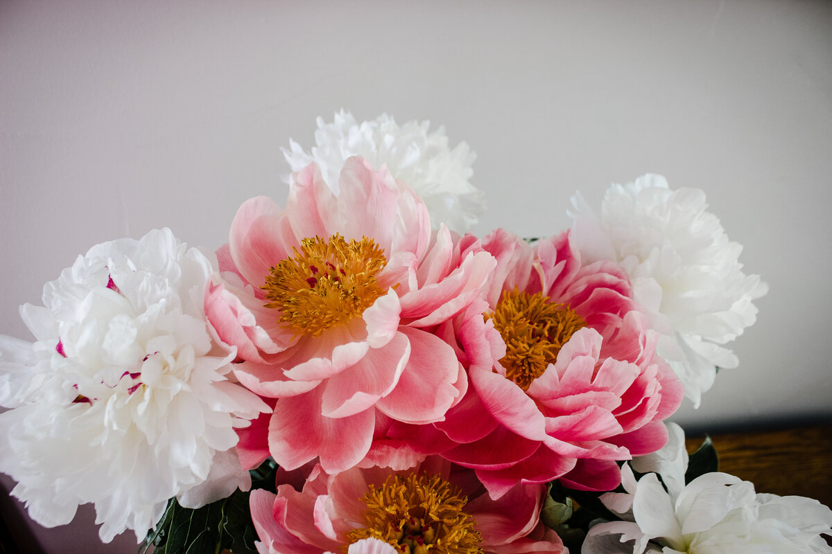 ADL website media peonies-2