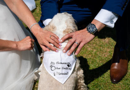 A dog with a bandanna around its neck being held by a bride and groom