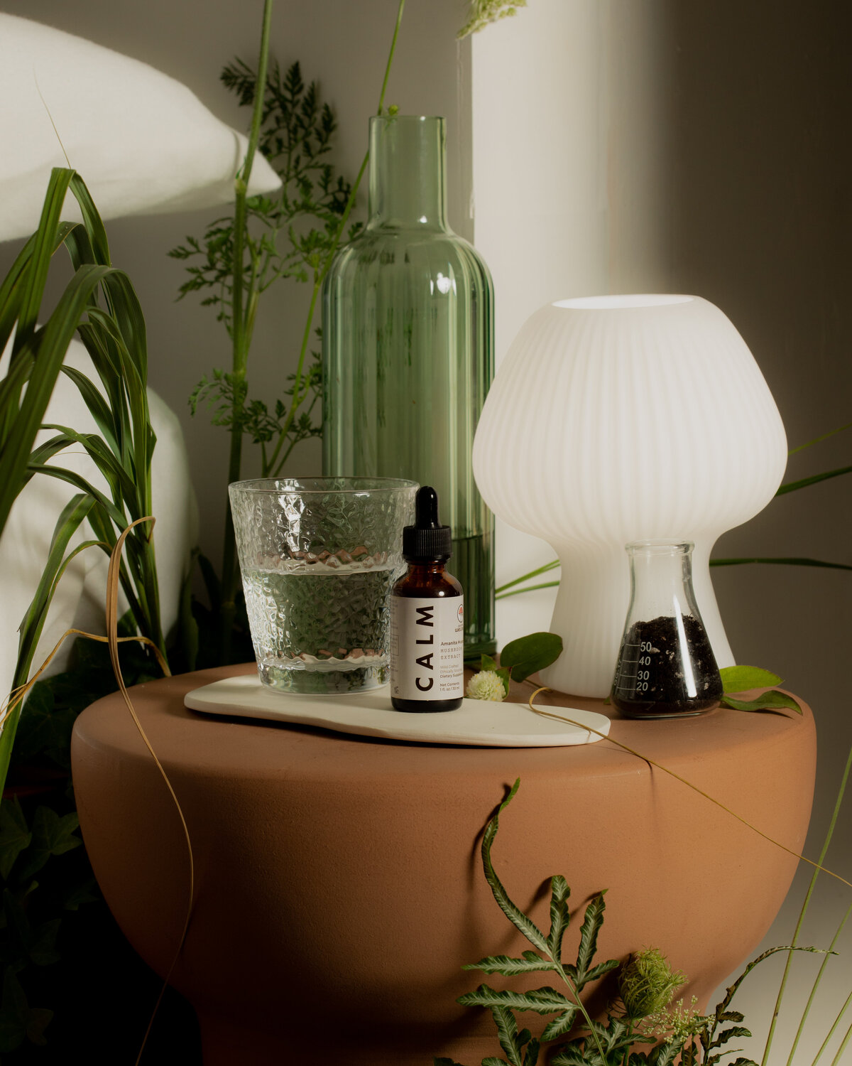 PsychedWellness_LaunchShoot_Lifestyle-Off-Fig_Shot02-00261