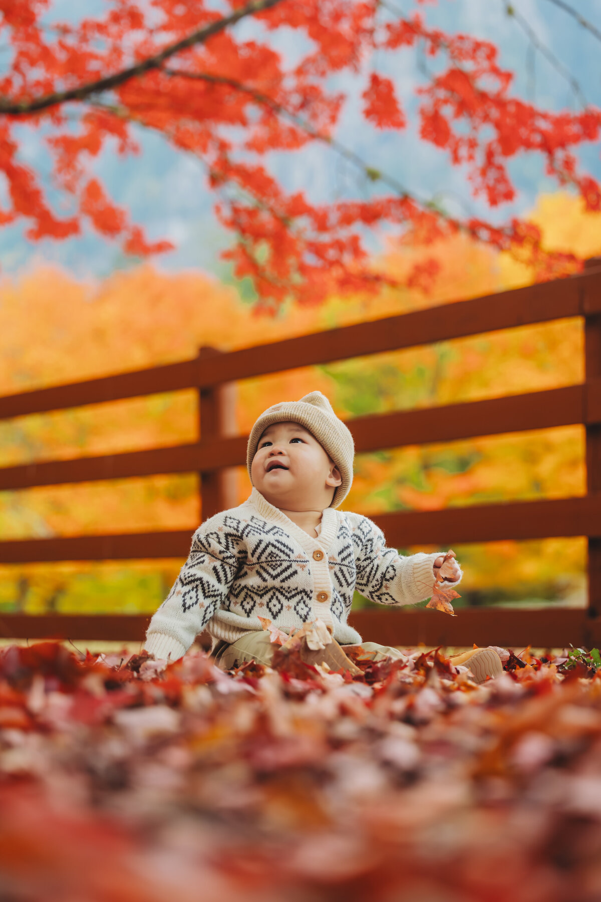 Rockwood Farm 202528