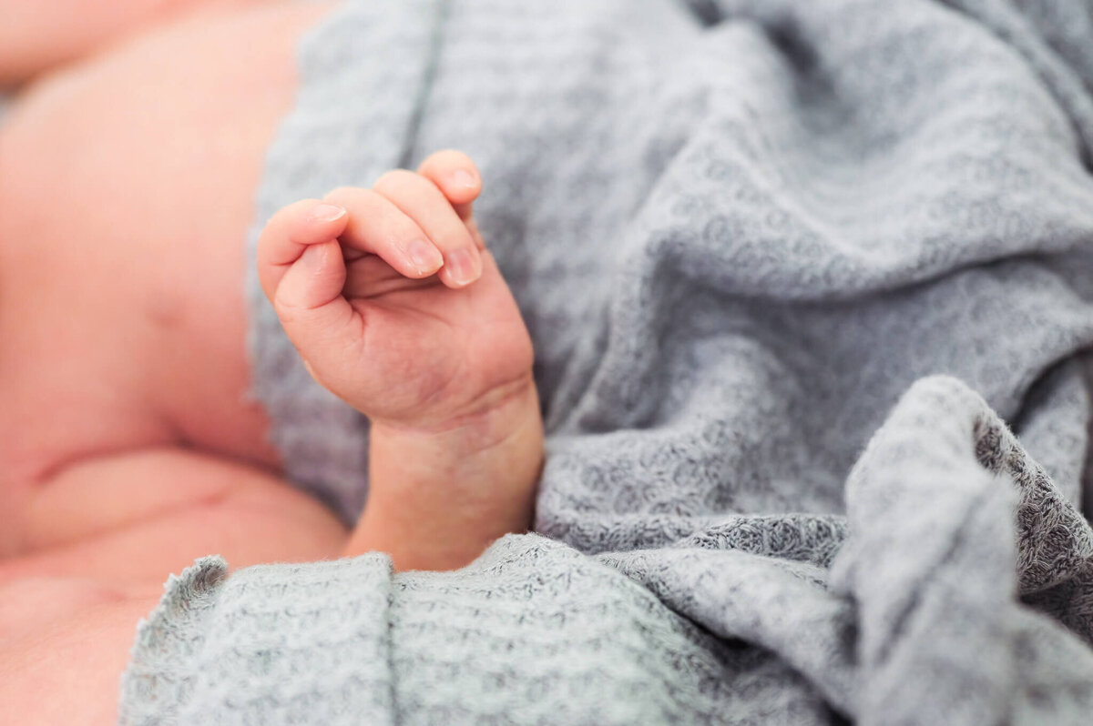 Twin newborns posing for newborn photos