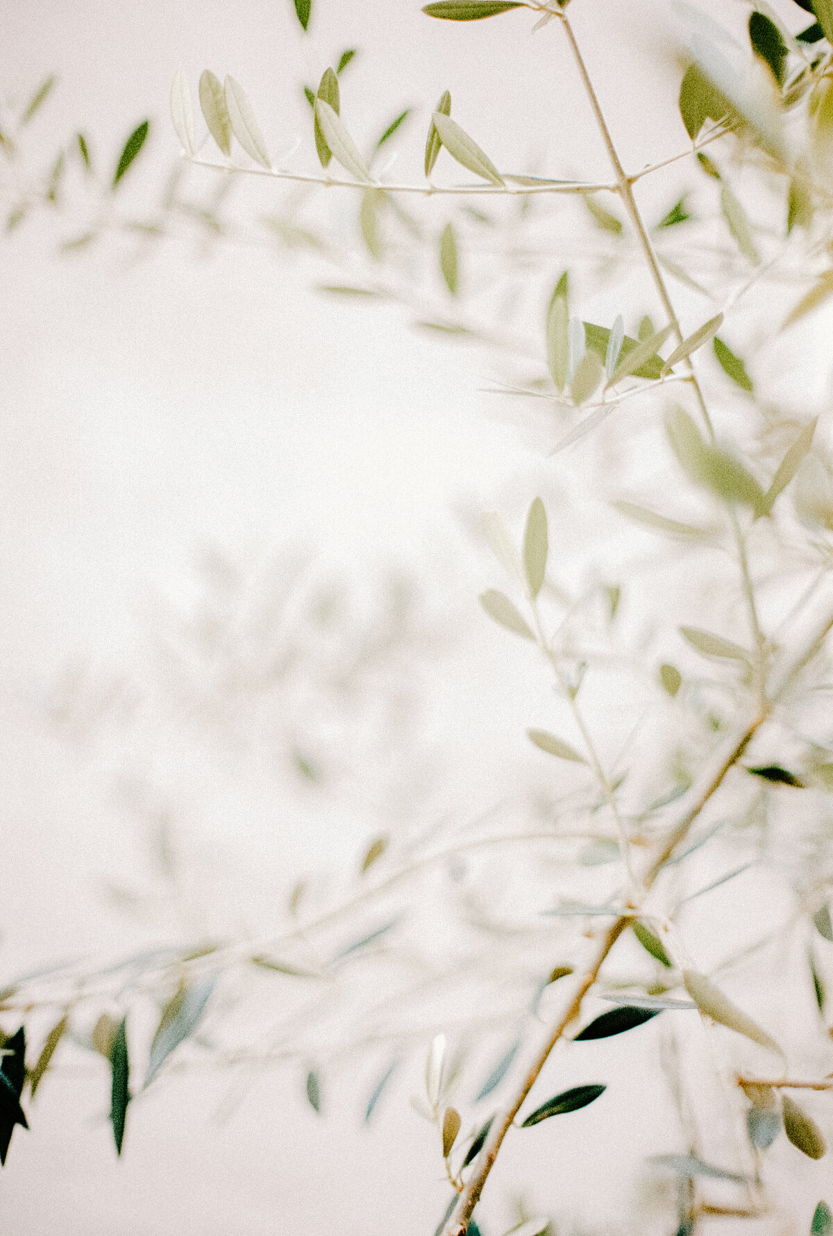 andrearufenerphotography-13