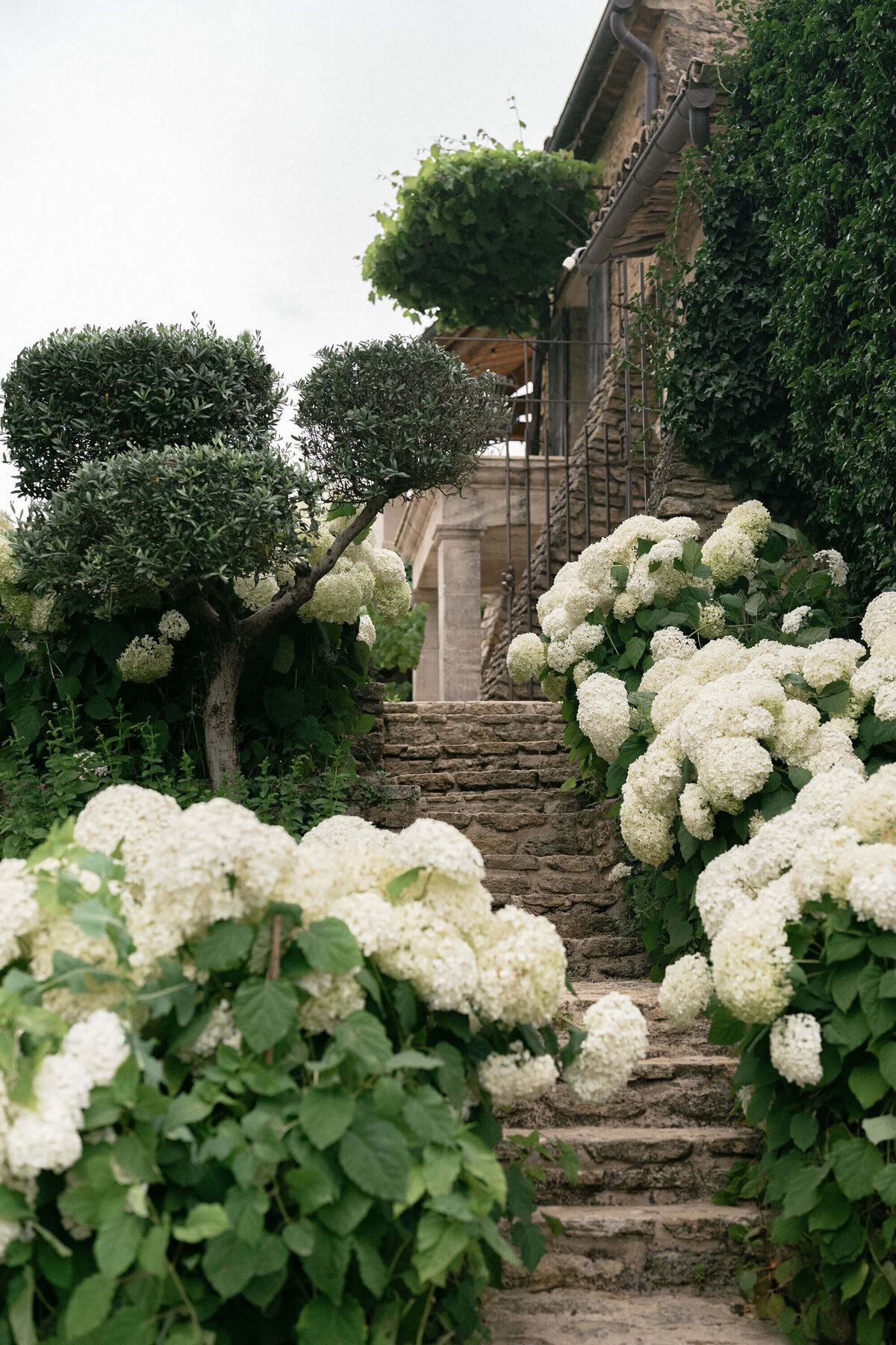 Provence wedding photographer