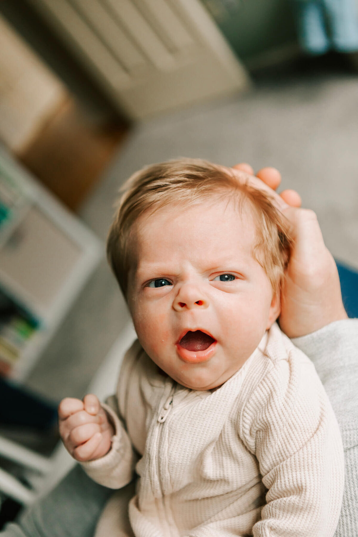 Albany-Newborn-Photographer-859