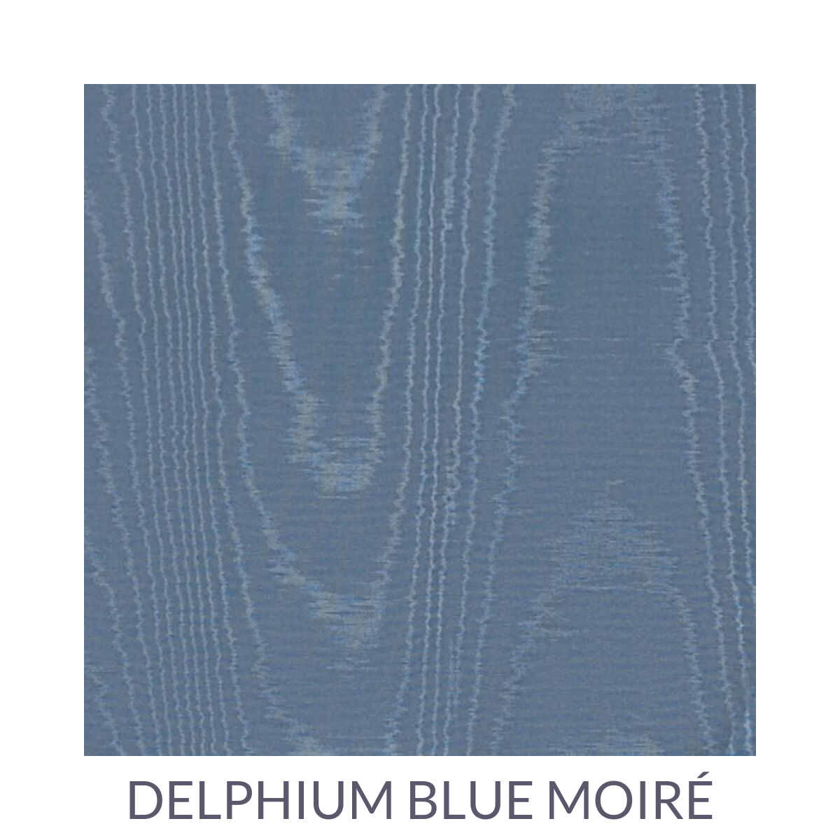 delphium-blue-moire