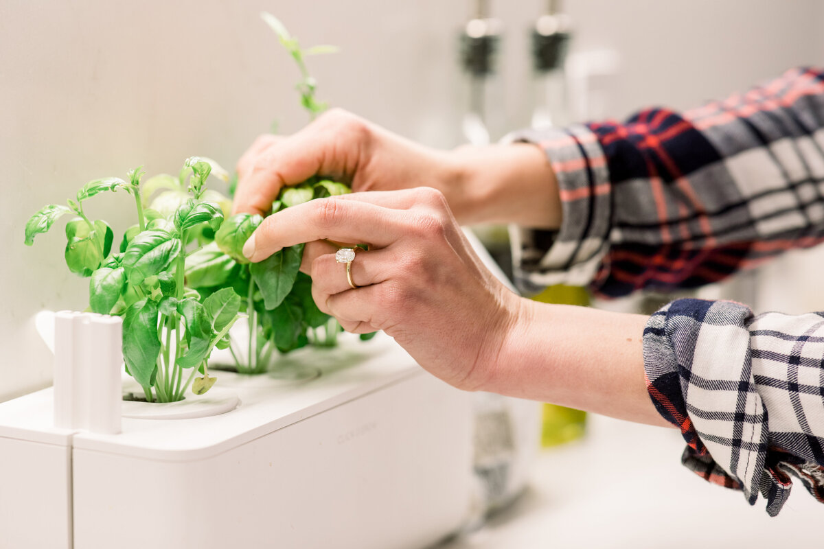 San-Francisco-at-home-pasta-making-engagement-session-015