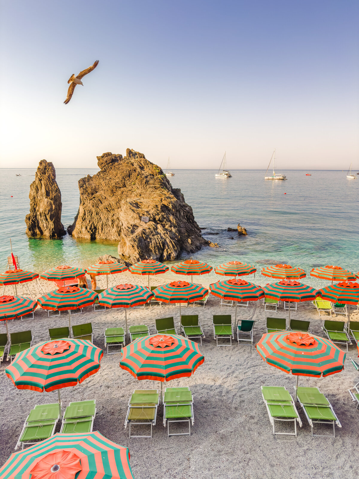 Monterosso Seagull-1