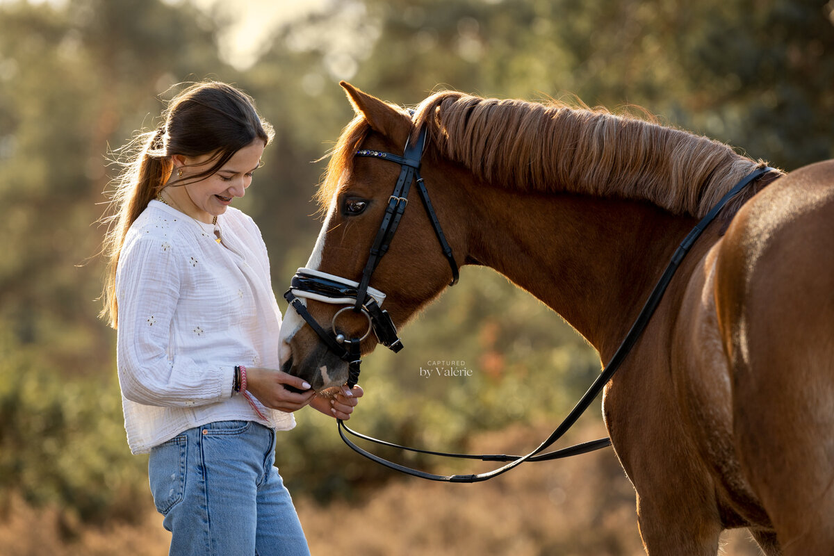 Homepage paard